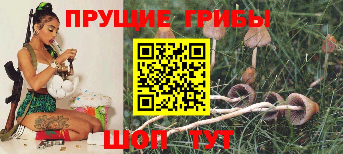 Вичуга  где найти   Вход с VPN  Галлюциногенные грибы MAGIC MUSHROOMS 